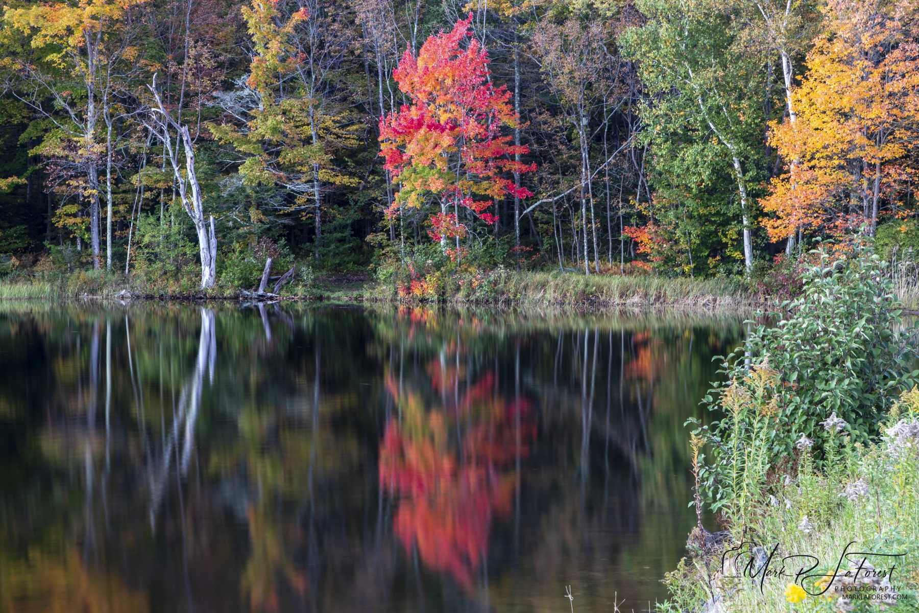 Kent Pon,d Killington, Vermont